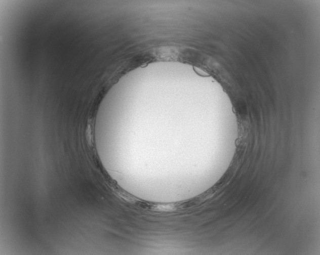 X0000071760717200606300916