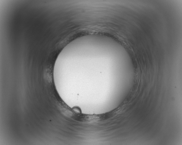 X0000071760719200606300916