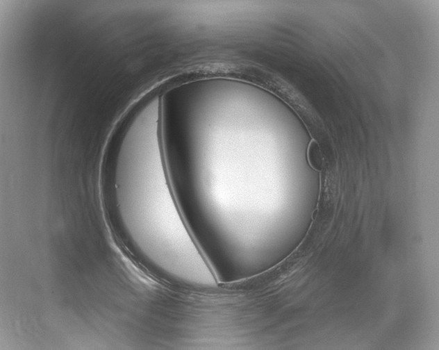 X0000071760722200606300915