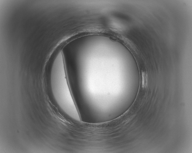X0000071760723200606300915