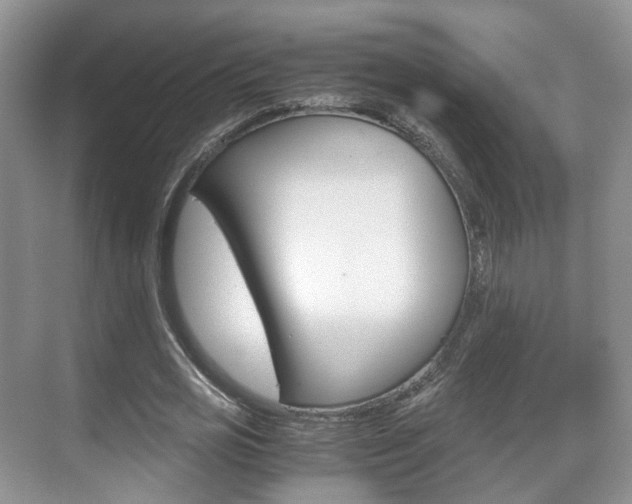X0000071760725200606300915