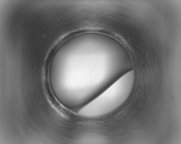 X0000071760726200606300915