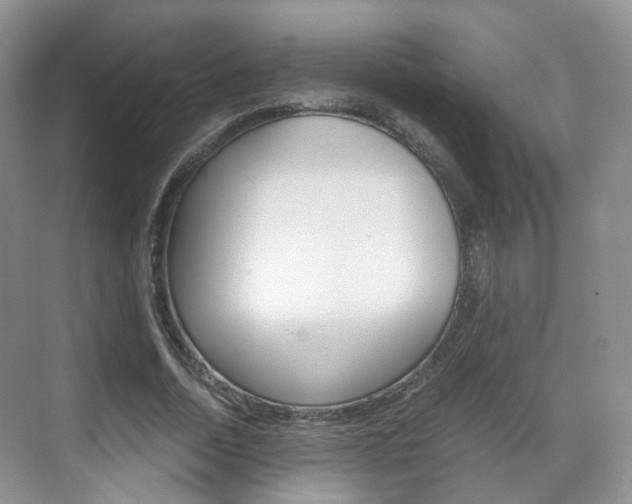 X0000071760730200606300915
