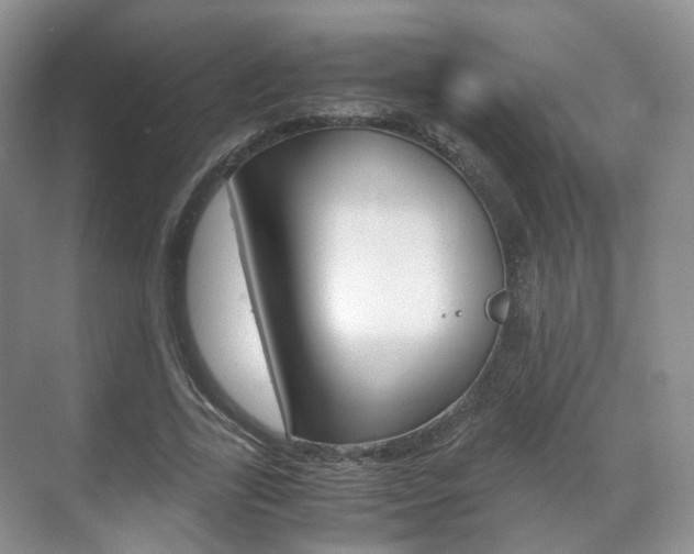 X0000071760731200606300915