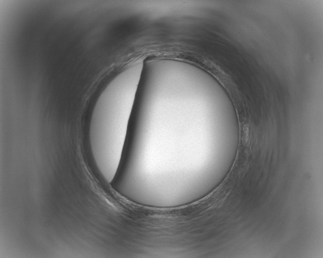 X0000071760733200606300915