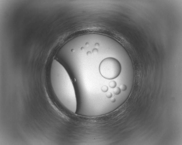 X0000071760734200606300915