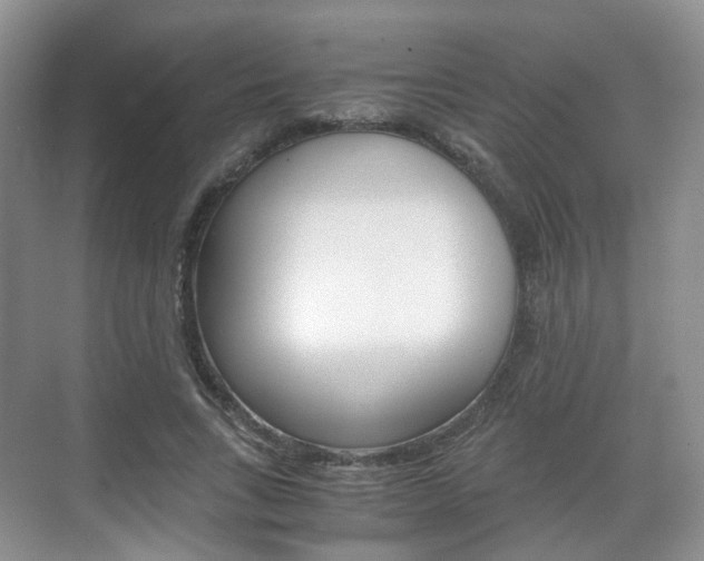 X0000071760735200606300915