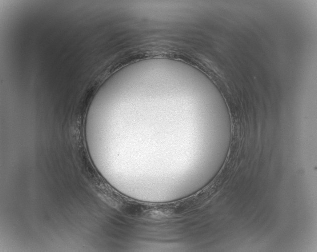 X0000071760737200606300915