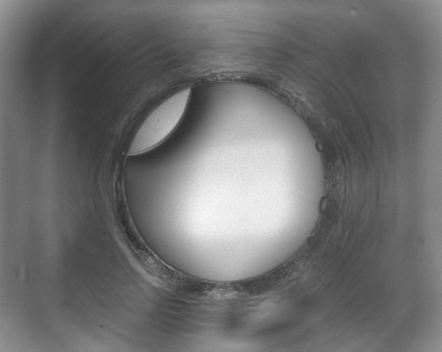 X0000071760742200606300915