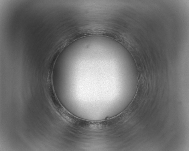 X0000071760744200606300915