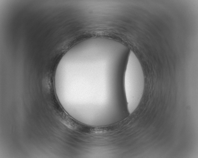 X0000071760746200606300915