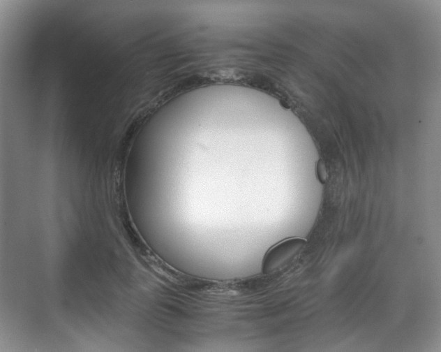 X0000071760747200606300915