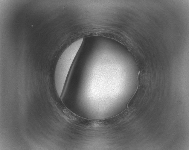 X0000071760750200606300915