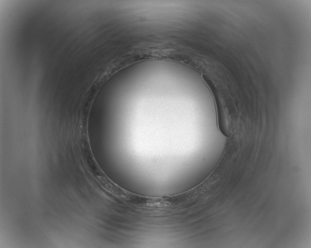 X0000071760752200606300915