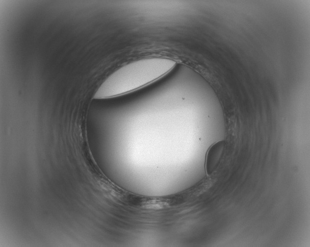 X0000071760754200606300915