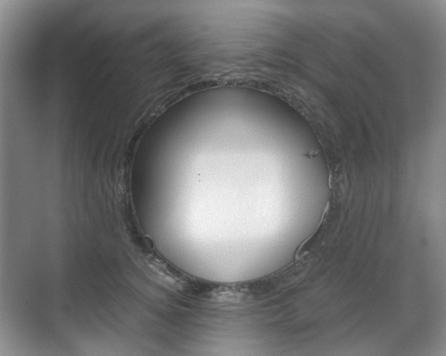 X0000071760756200606300915