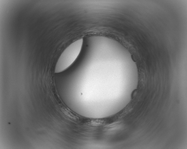 X0000071760758200606300916