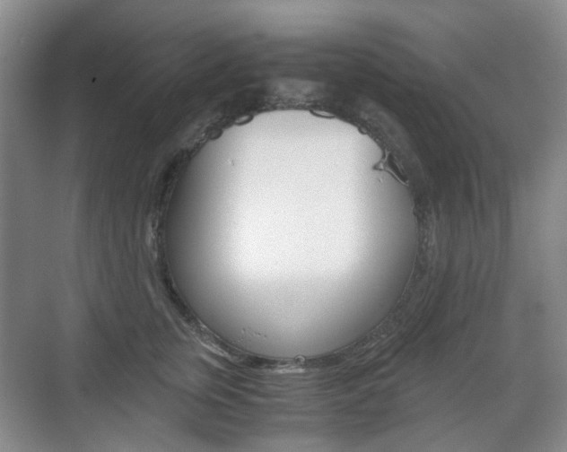 X0000071760759200606300916