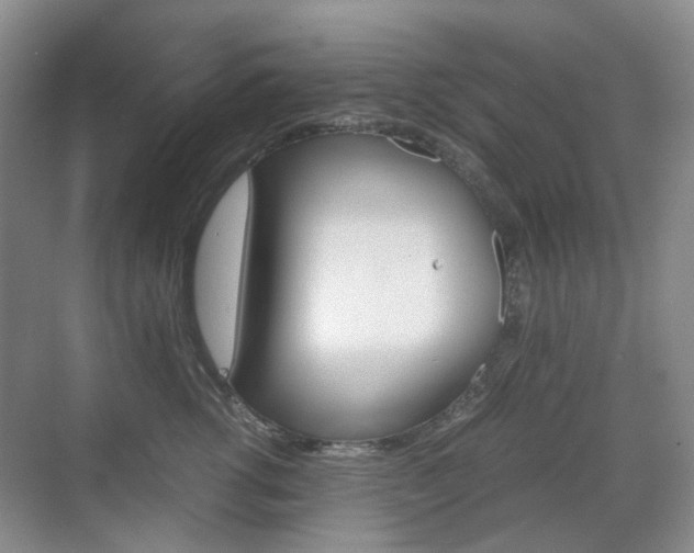 X0000071760762200606300916