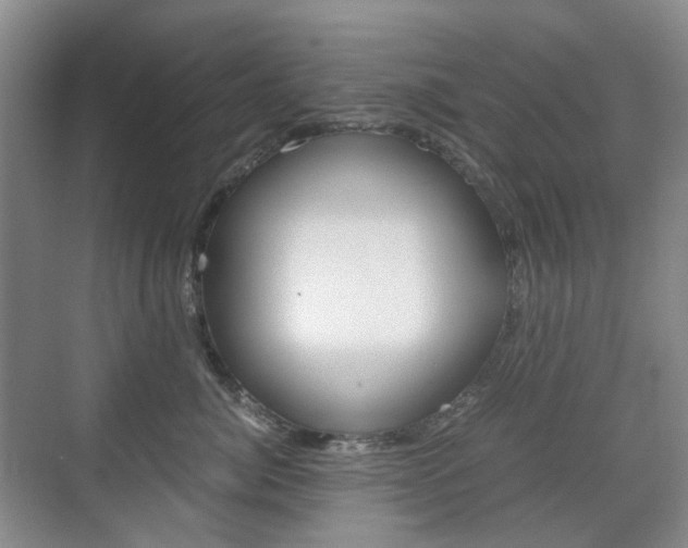 X0000071760764200606300916