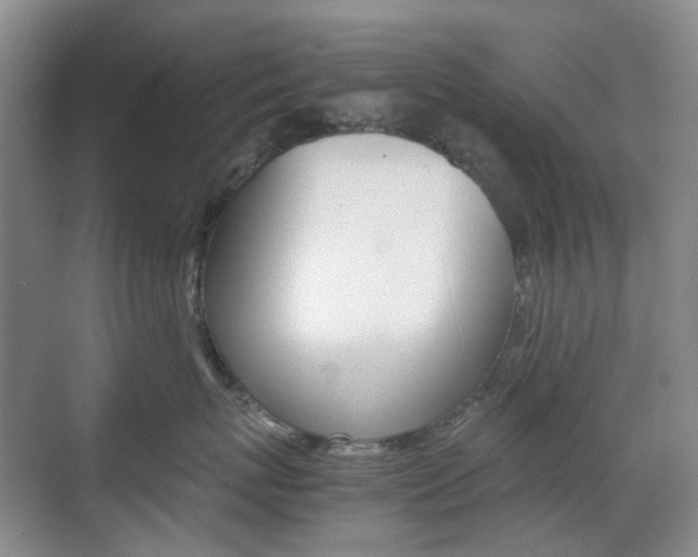 X0000071760767200606300916