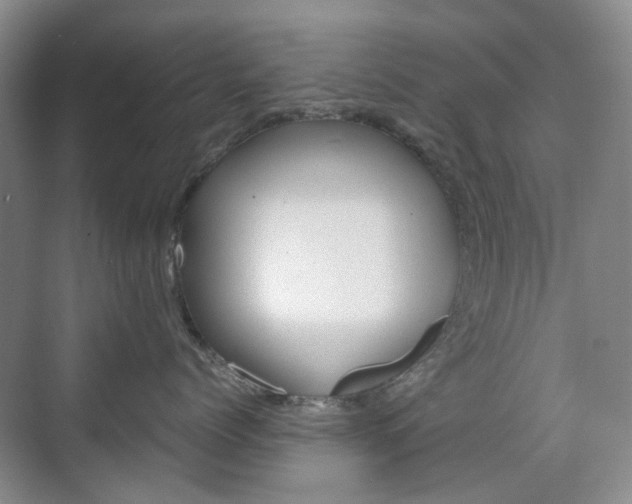 X0000071760768200606300916