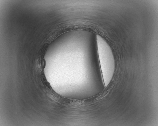X0000071760771200606300915