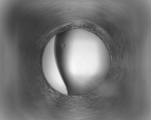 X0000071760773200606300915