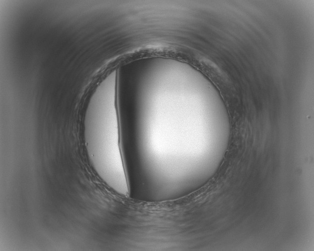 X0000071760776200606300915
