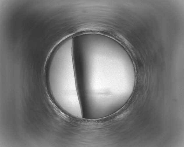 X0000071760779200606300915