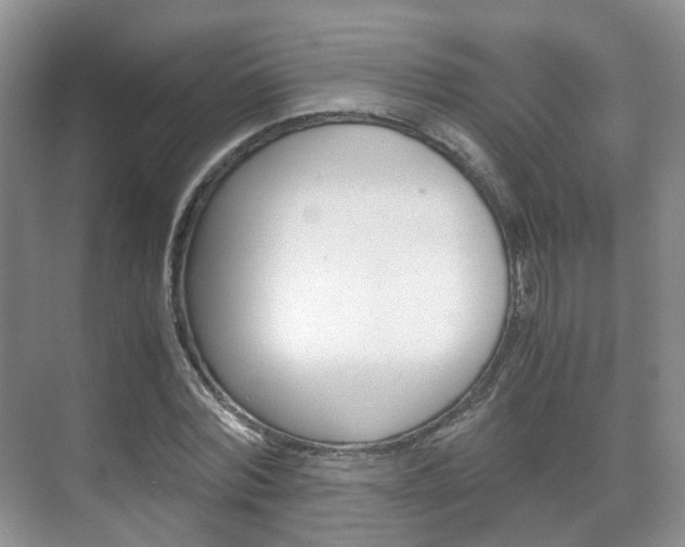 X0000071760780200606300915