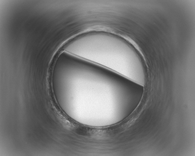 X0000071760783200606300915