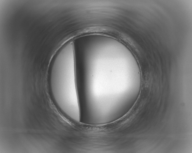 X0000071760786200606300915