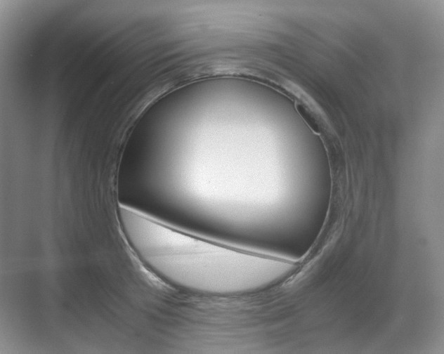 X0000071760801200606300914