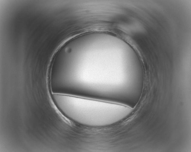 X0000071760803200606300914