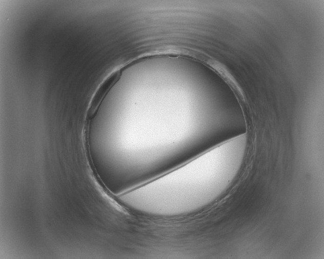 X0000071760805200606300914