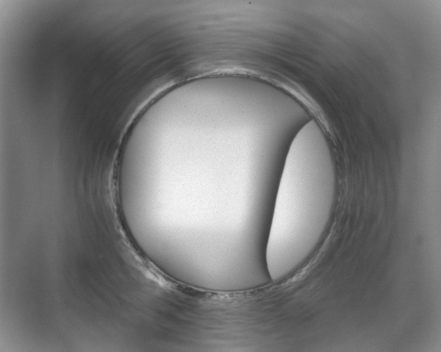 X0000071760806200606300914