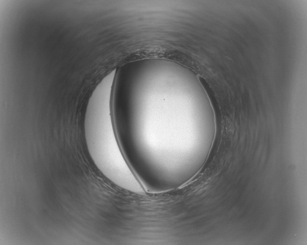 X0000071760818200606300913