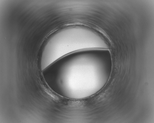 X0000071760826200606300913