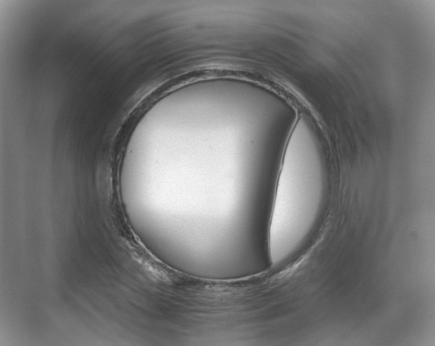 X0000071760829200606300913