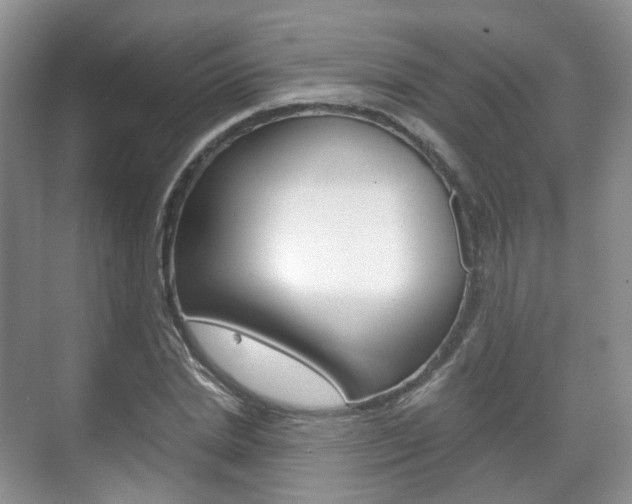 X0000071760830200606300914
