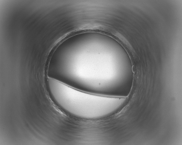 X0000071760834200606300914
