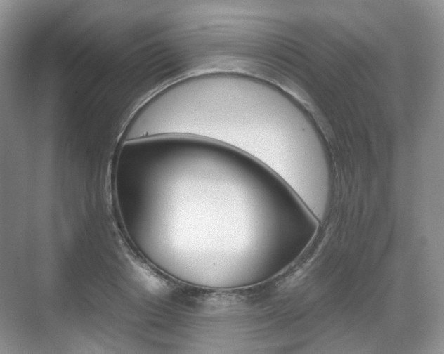 X0000071760842200606300914