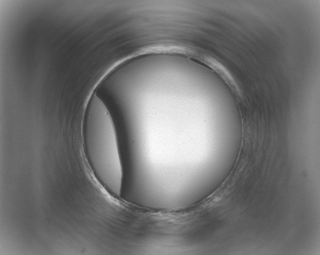 X0000071760852200606300914