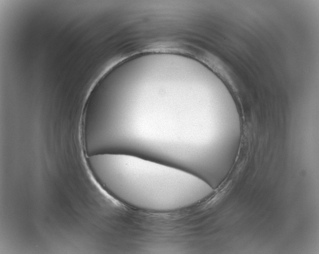 X0000071760855200606300914