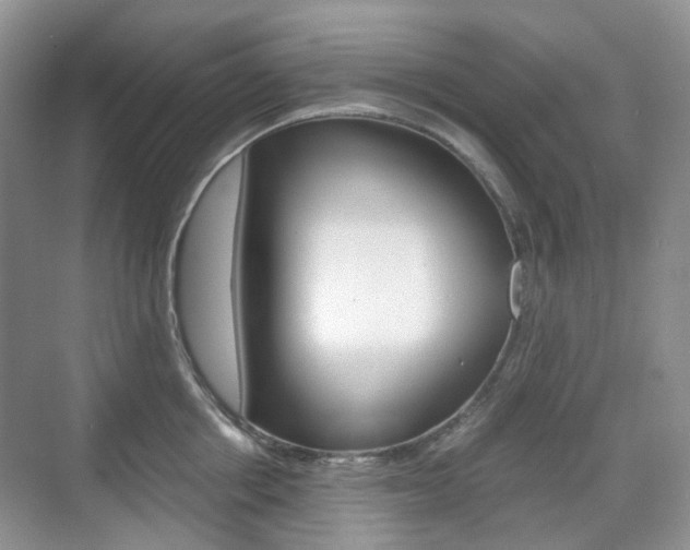 X0000071760858200606300914