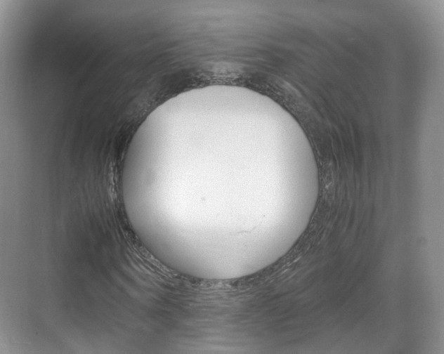 X0000071760866200606300913