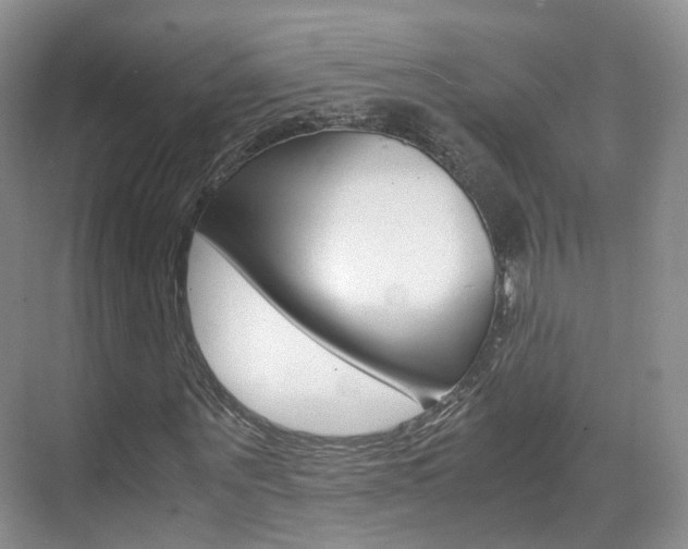 X0000071760867200606300913