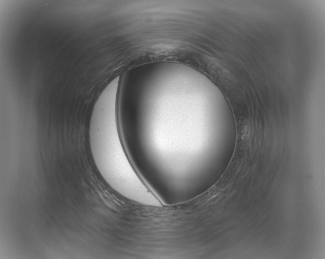 X0000071760868200606300913
