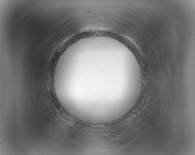 X0000071760871200606300913